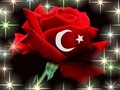 hayal42 Avatar