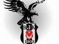 sifocagin Avatar
